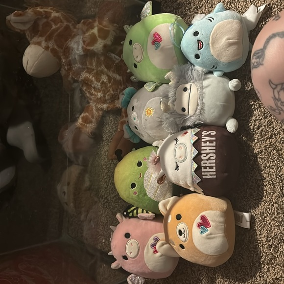 squishmallows some tags some don’t haven’t been used just for display/collection - Picture 5 of 6